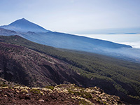 ciudad tenerife