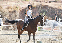 summercamps sports horseback